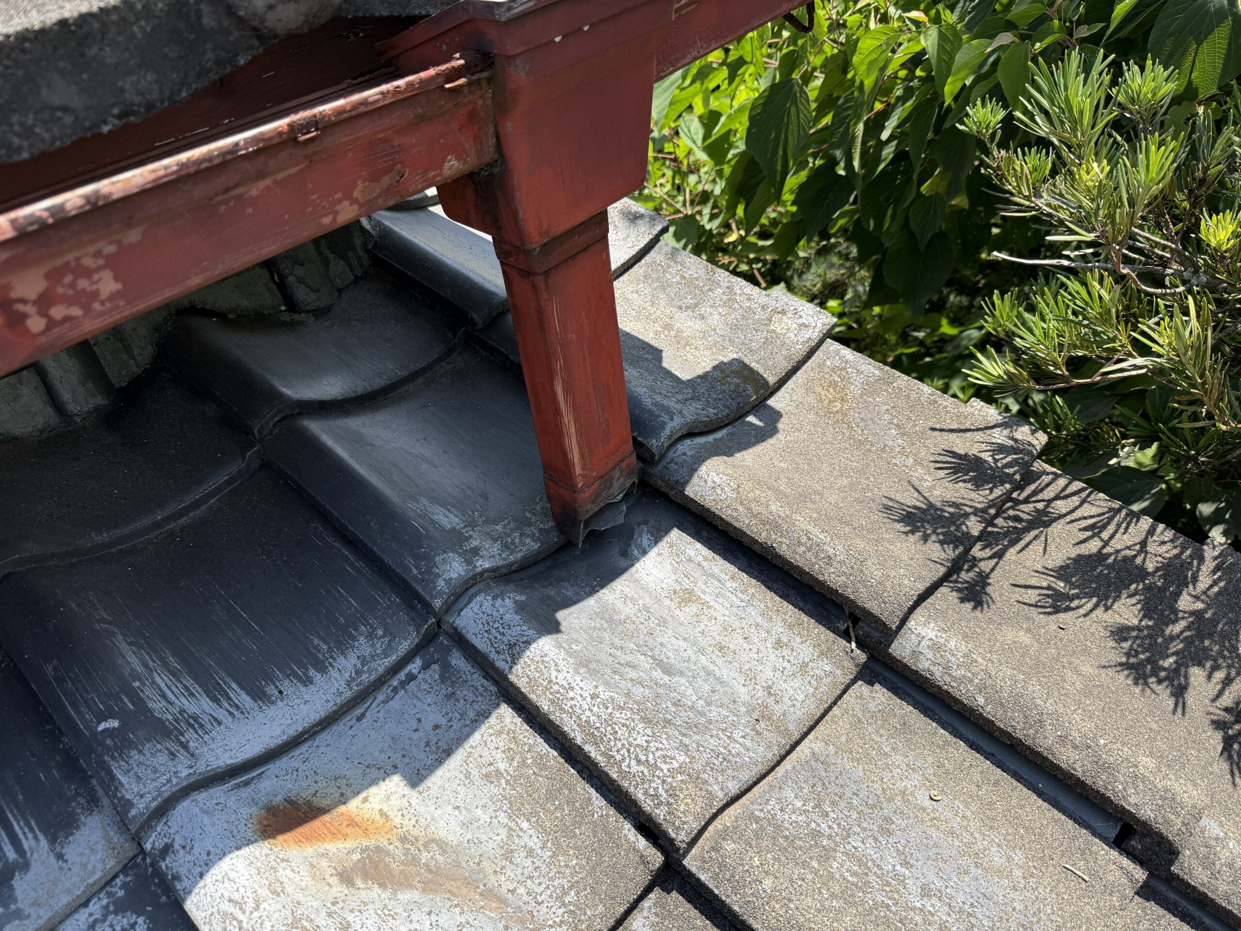 外れた竪樋の接続部。雨水が下屋に直撃していた